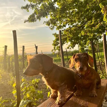 Дом отдыха Hutiagi Шиофок