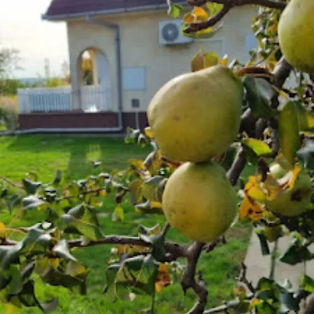 Hutiagi Дом отдыха *