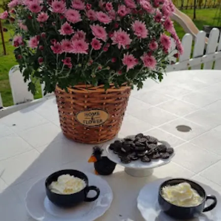 Hutiagi Vakantiehuis Siófok
