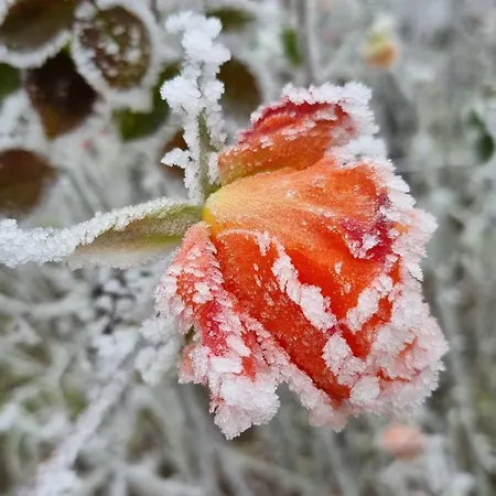 Hutiagi Дом отдыха Шиофок